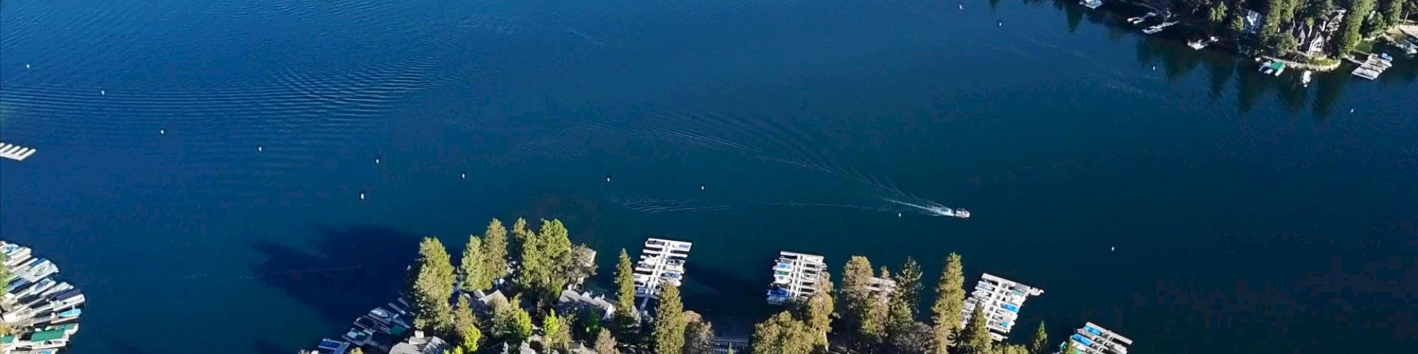 Aerial view of a lakeside area with buildings, docks, and boats surrounded by trees.