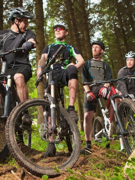 Four mountain bikers are taking a break in a forest.