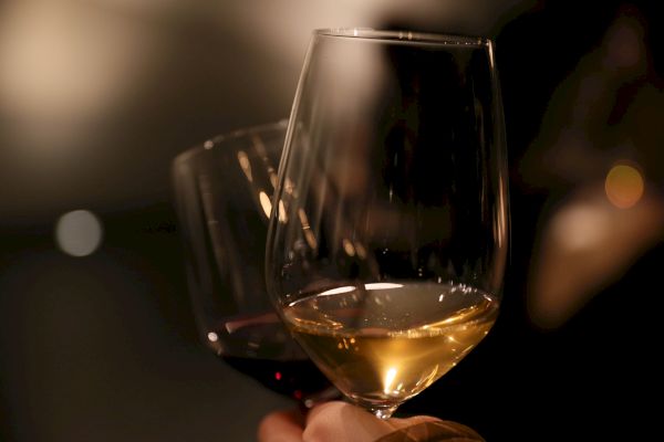 Two people clink glasses, one with red wine and the other with white wine, against a dimly lit background, suggesting a celebratory moment.