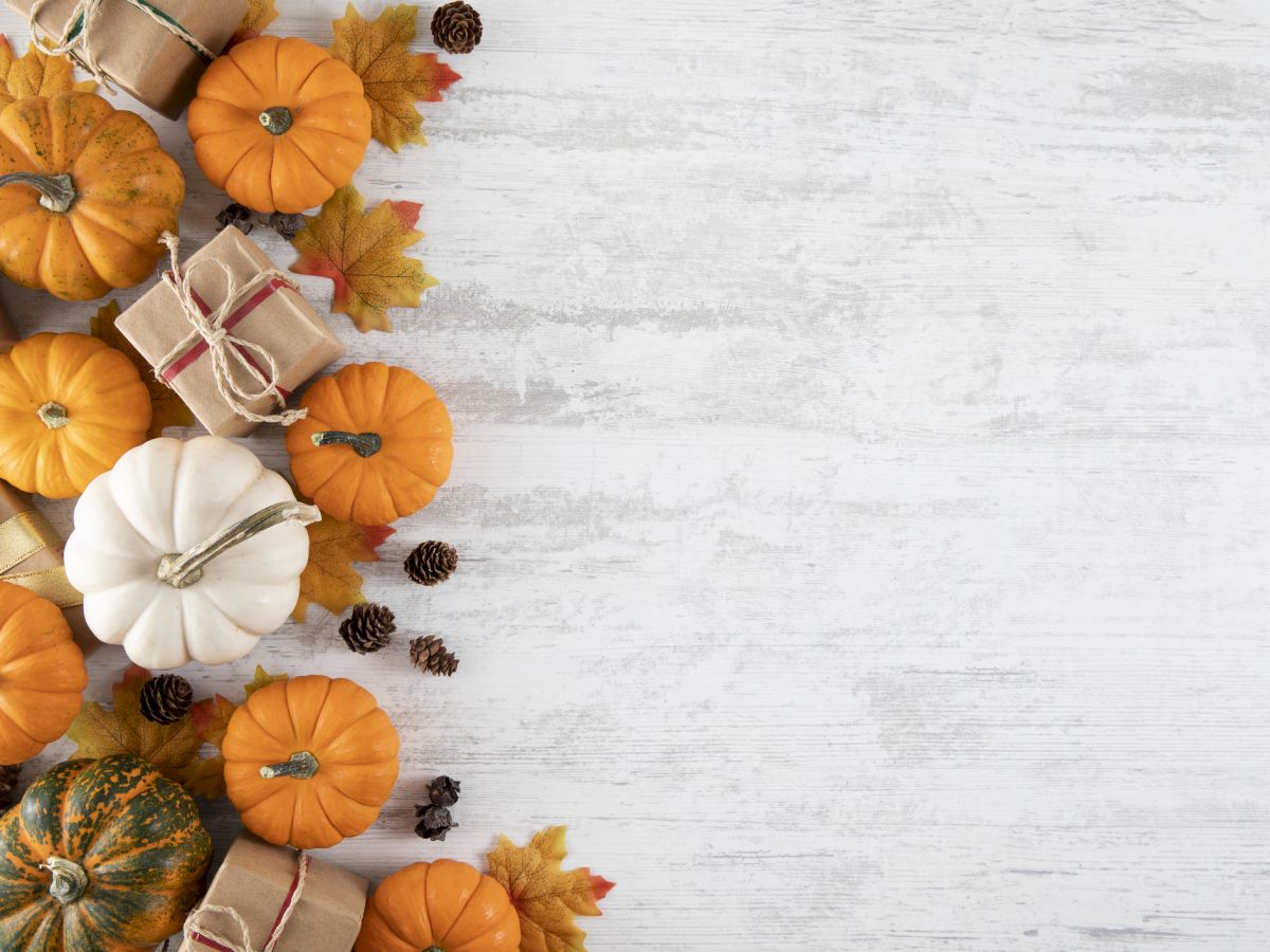 The image shows small pumpkins, wrapped gifts, pinecones, and autumn leaves arranged on the left side of a white wooden surface.