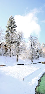 A snowy landscape with tall trees, buildings, and a clear blue lake under a bright sky.