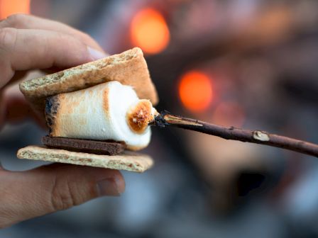 A hand holds a s'more near a campfire, with a toasted marshmallow on a stick placed between graham crackers and chocolate.